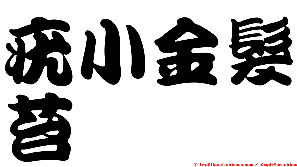 疣小金髮苔