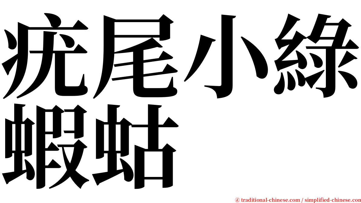 疣尾小綠蝦蛄 serif font
