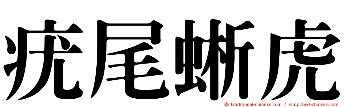 疣尾蜥虎