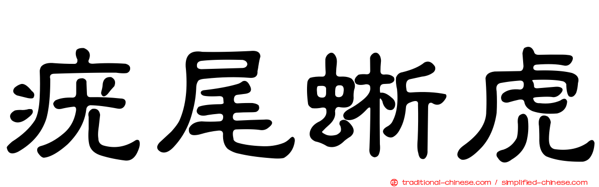 疣尾蜥虎