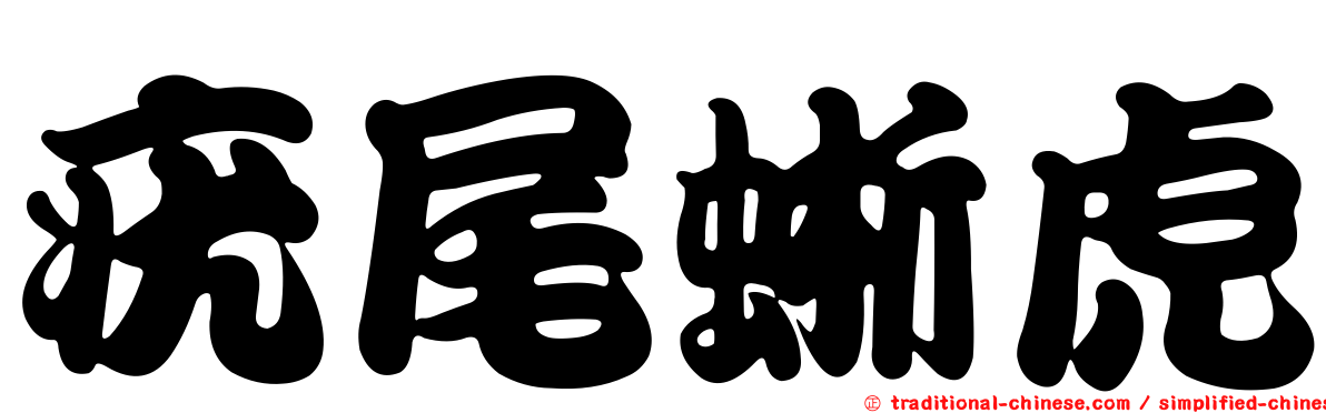 疣尾蜥虎