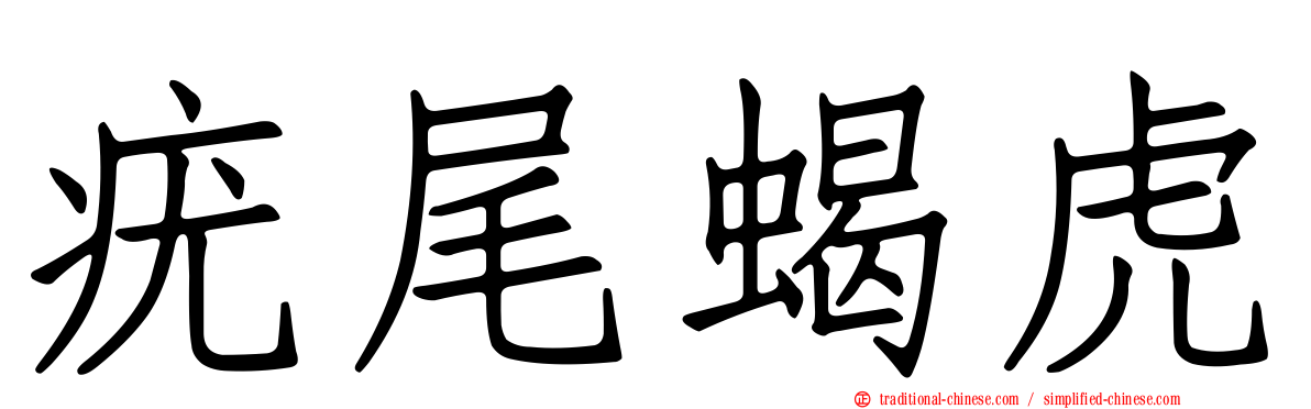 疣尾蝎虎