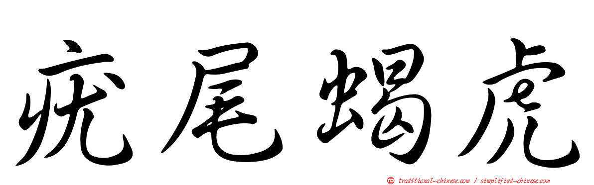 疣尾蝎虎