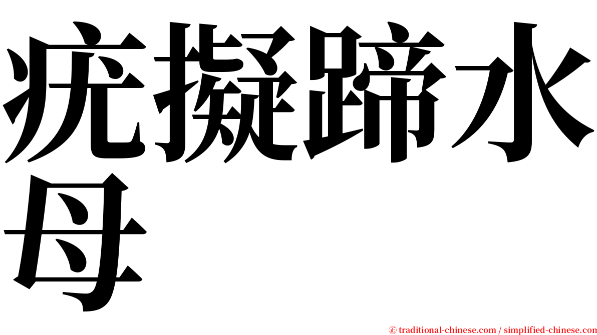 疣擬蹄水母 serif font