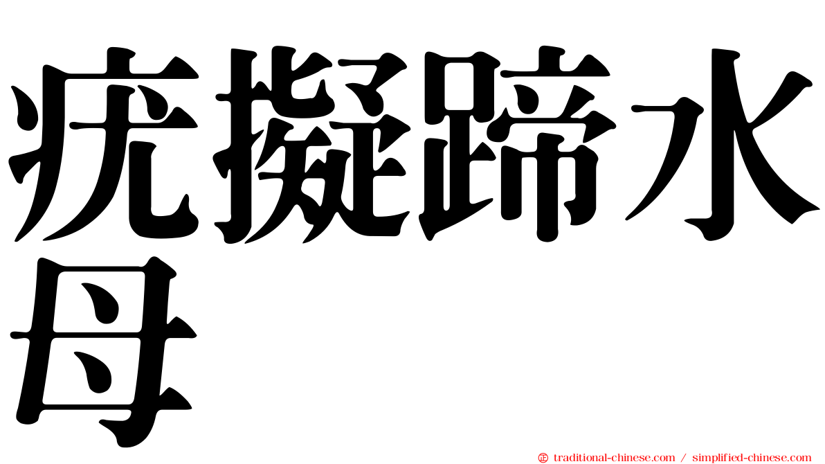 疣擬蹄水母