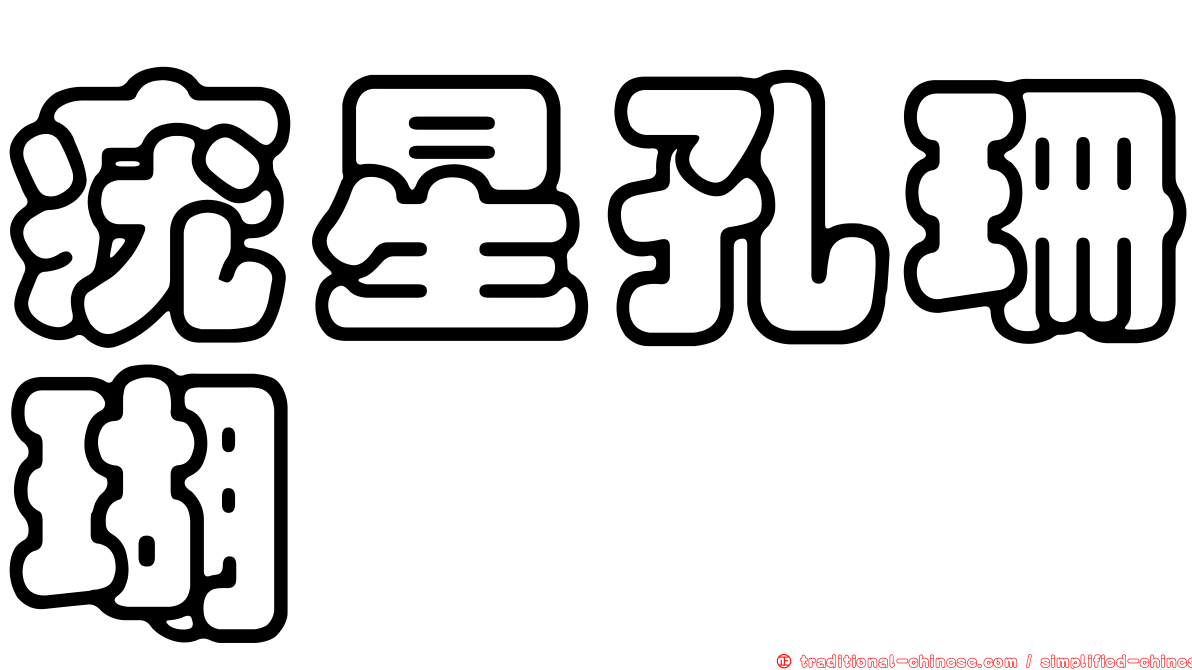 疣星孔珊瑚