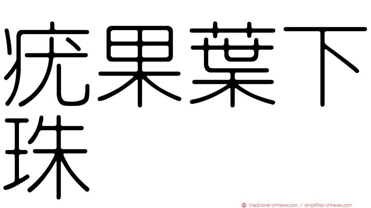 疣果葉下珠