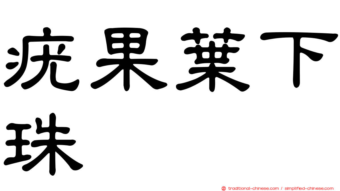 疣果葉下珠
