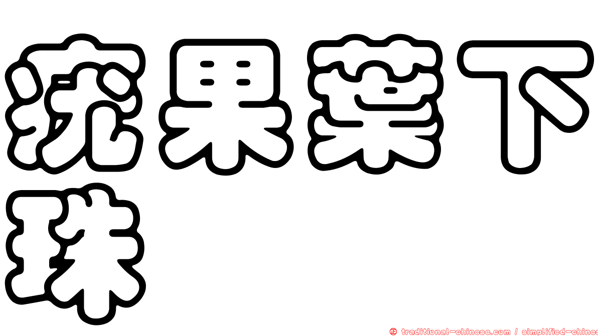 疣果葉下珠