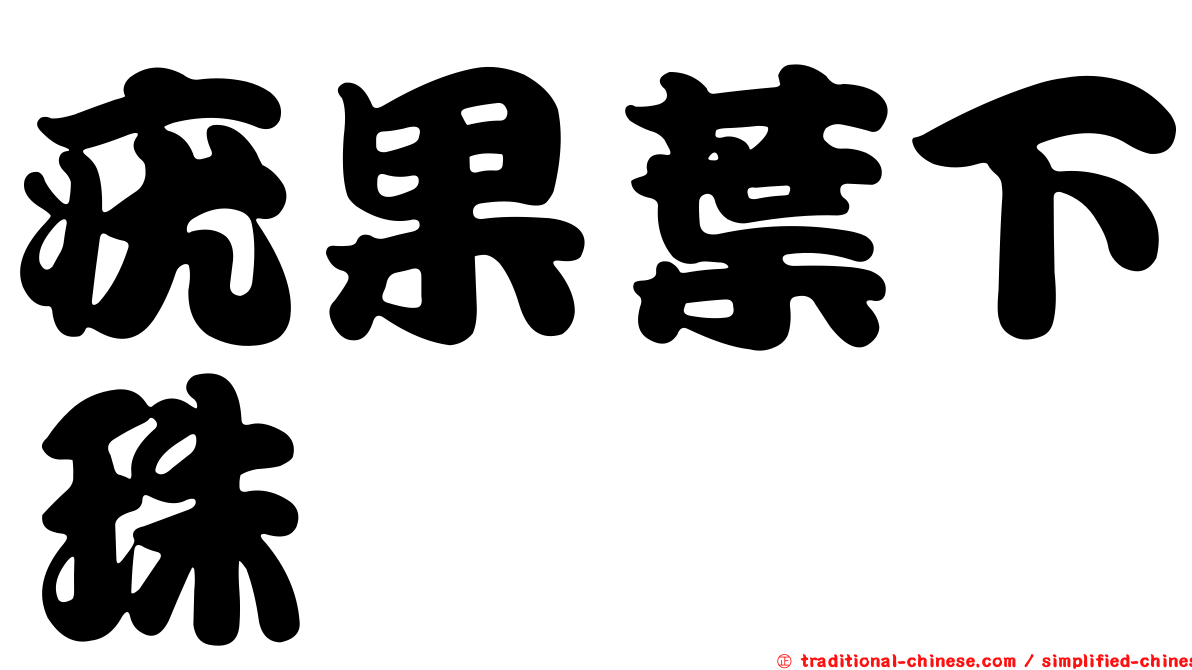 疣果葉下珠