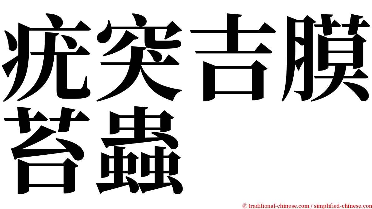疣突吉膜苔蟲 serif font