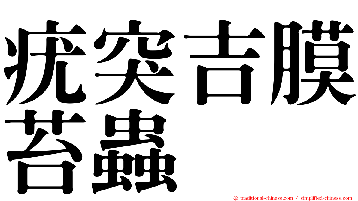 疣突吉膜苔蟲