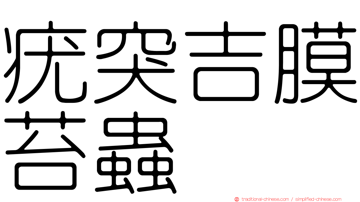疣突吉膜苔蟲