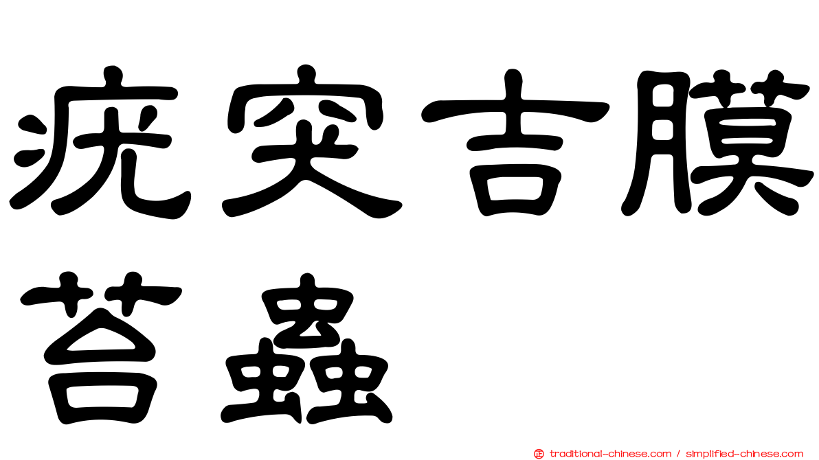 疣突吉膜苔蟲