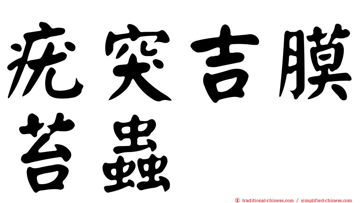 疣突吉膜苔蟲