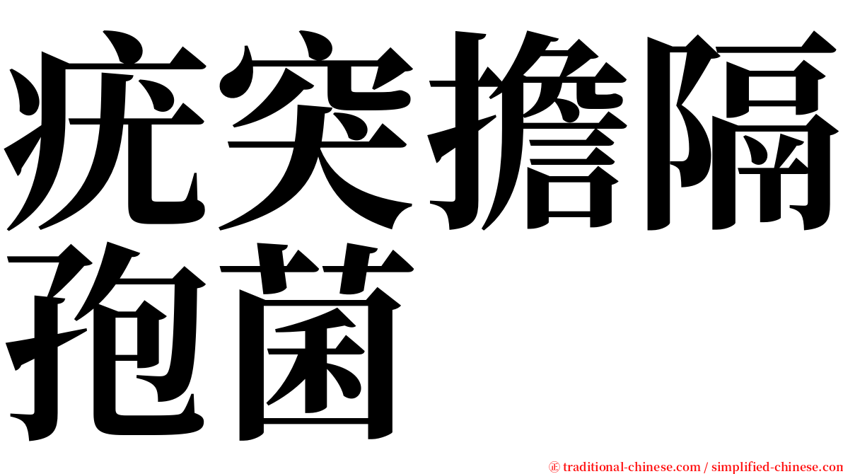 疣突擔隔孢菌 serif font