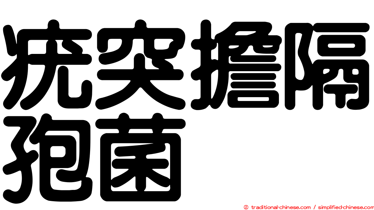 疣突擔隔孢菌