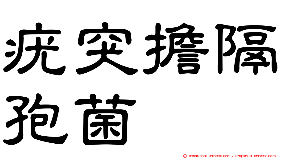 疣突擔隔孢菌