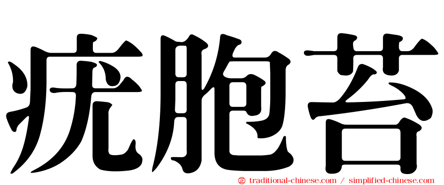 疣胞苔