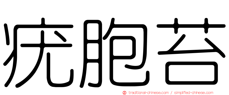 疣胞苔