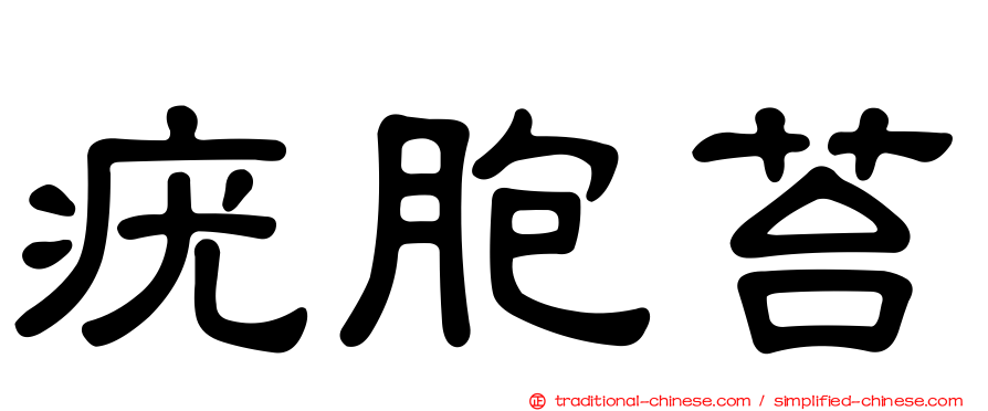 疣胞苔