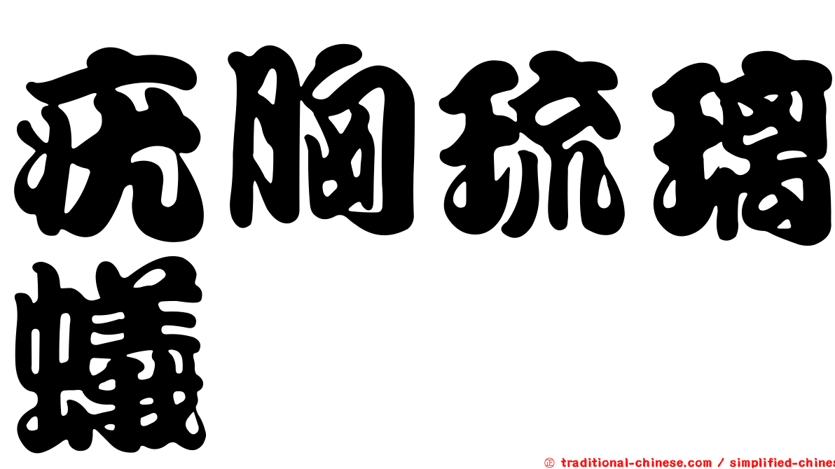 疣胸琉璃蟻