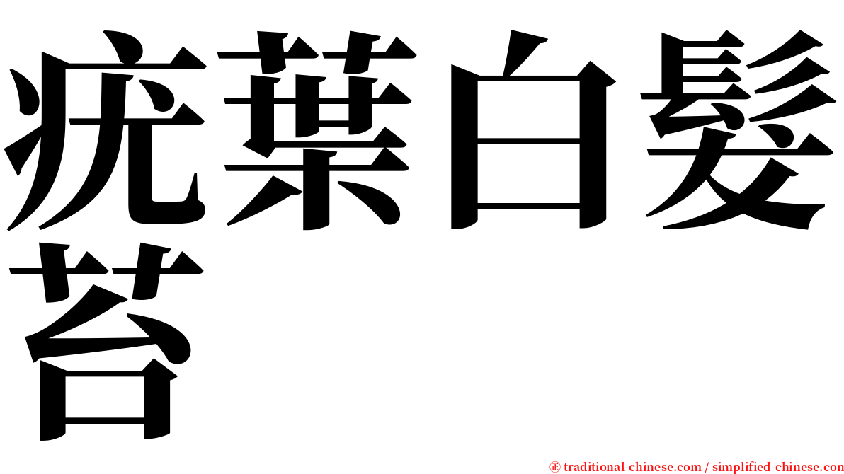 疣葉白髮苔 serif font