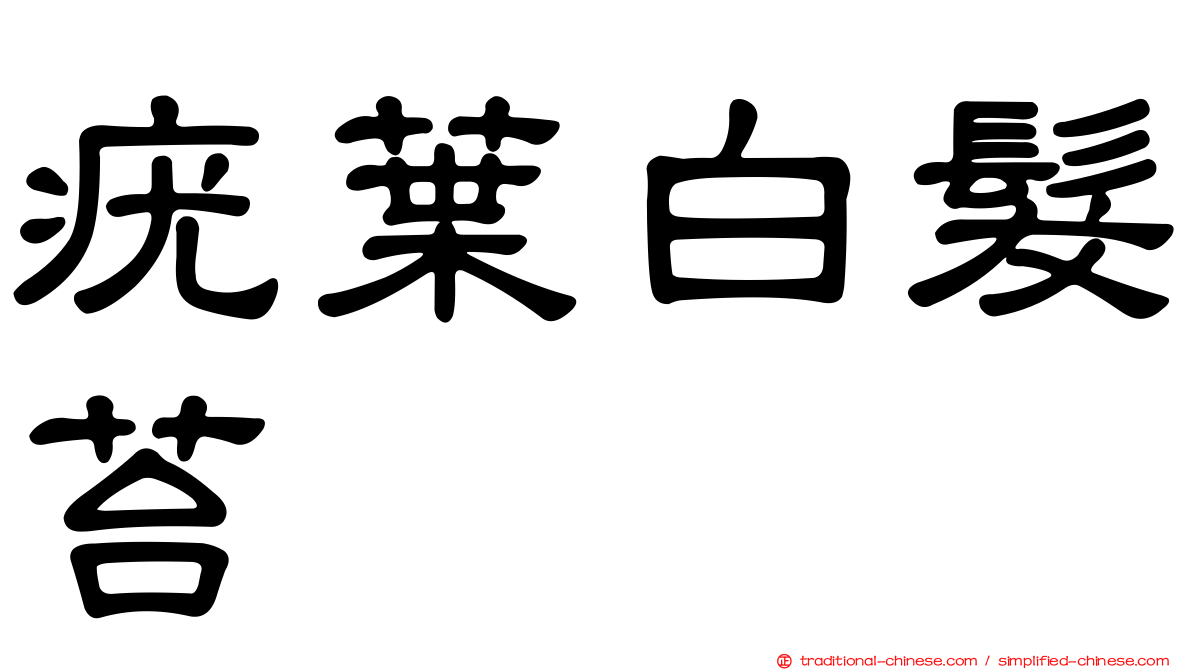 疣葉白髮苔