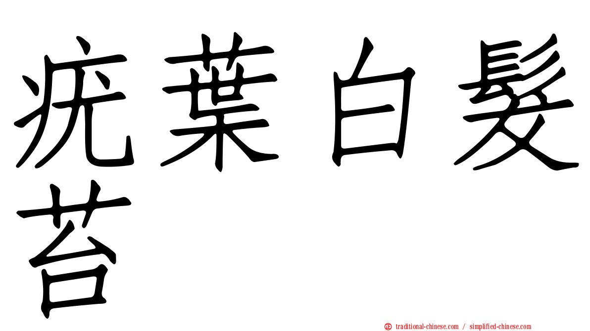 疣葉白髮苔