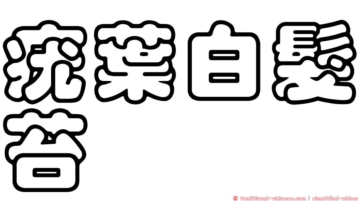 疣葉白髮苔