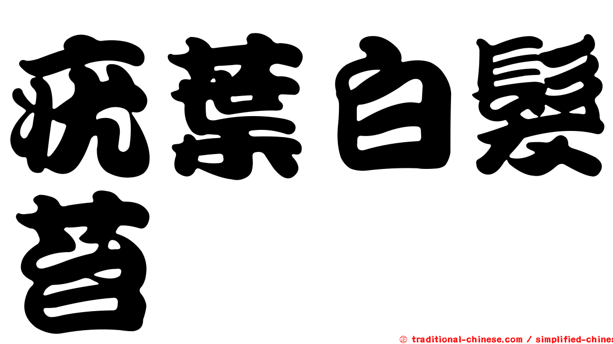 疣葉白髮苔