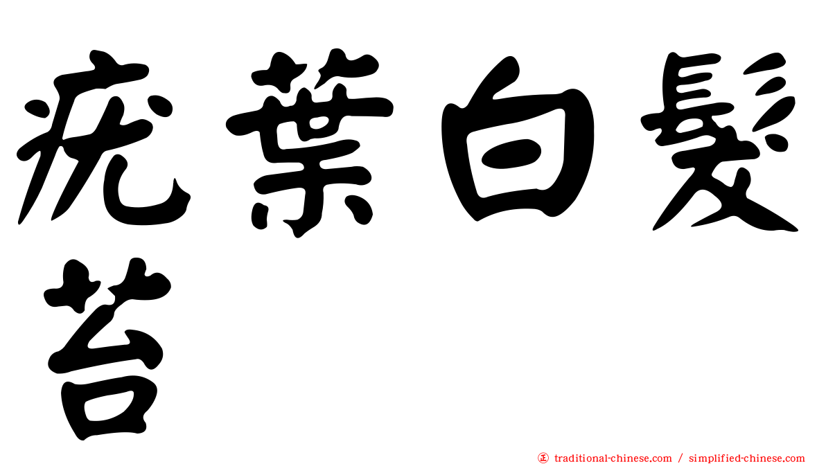 疣葉白髮苔