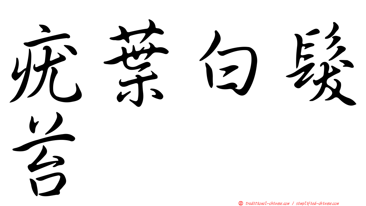 疣葉白髮苔