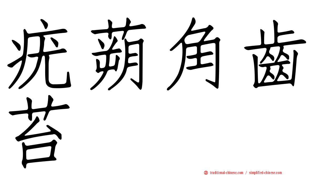 疣蒴角齒苔
