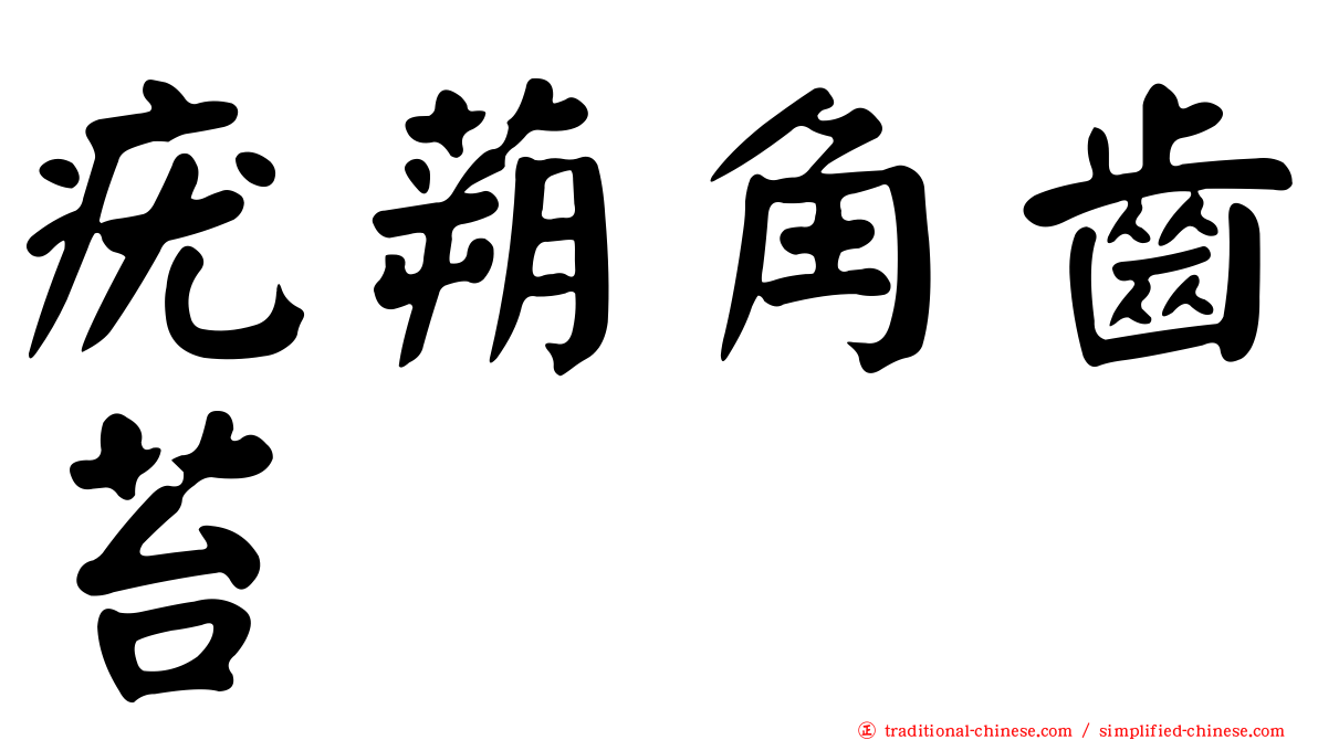 疣蒴角齒苔