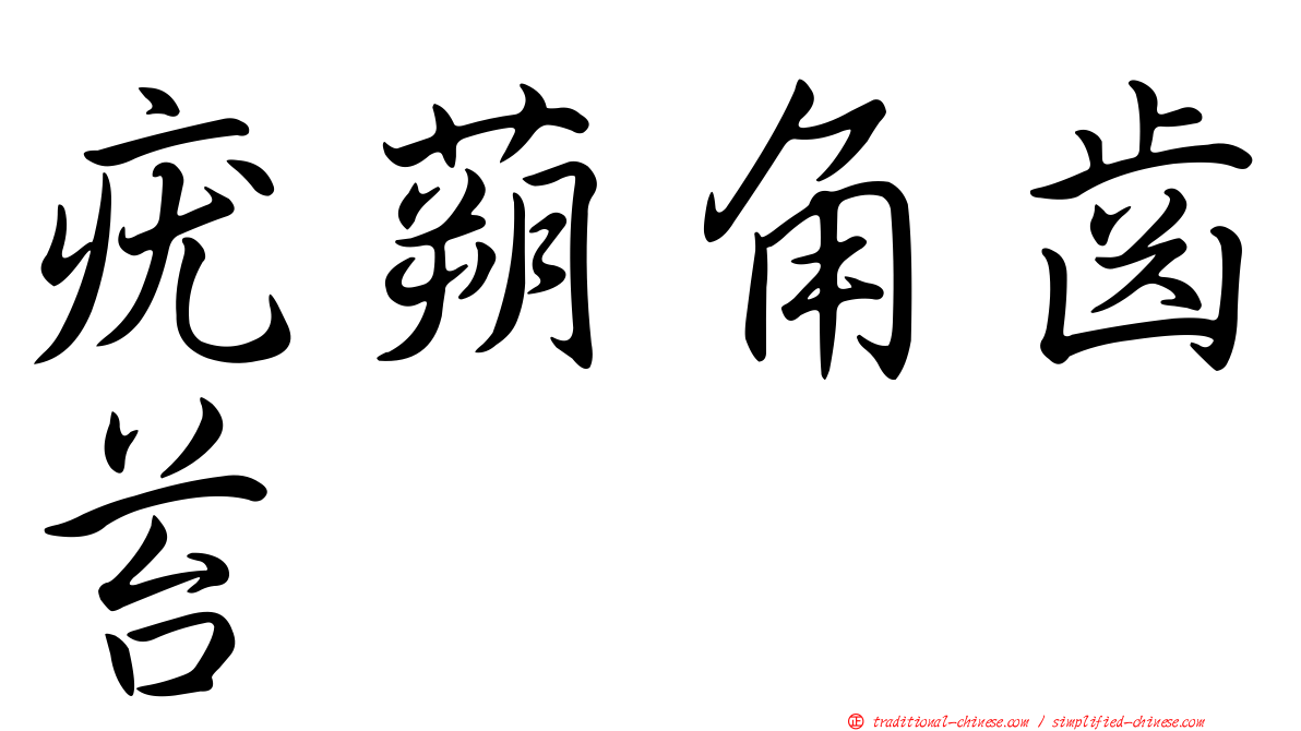 疣蒴角齒苔