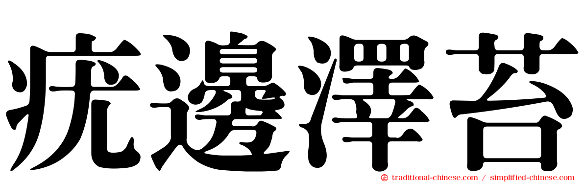 疣邊澤苔
