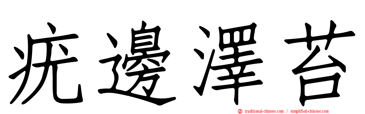 疣邊澤苔