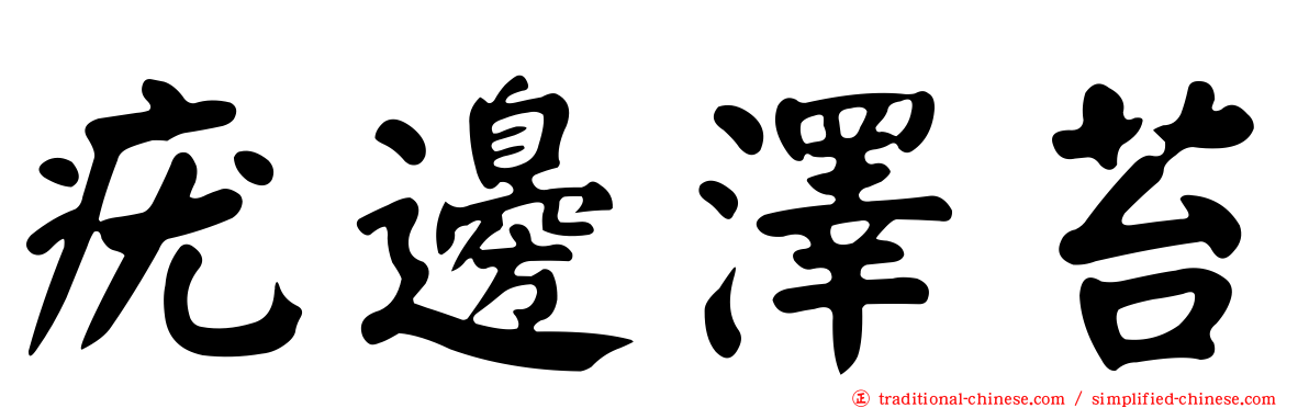 疣邊澤苔
