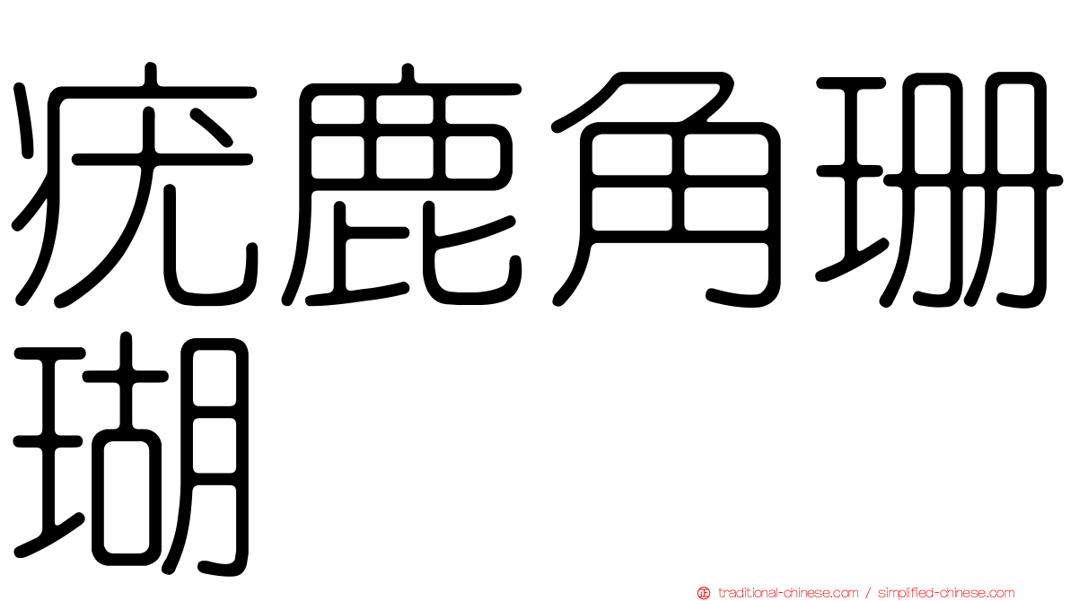 疣鹿角珊瑚