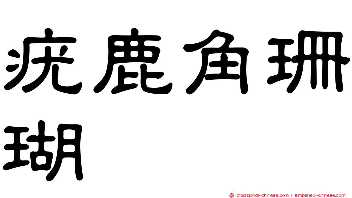 疣鹿角珊瑚