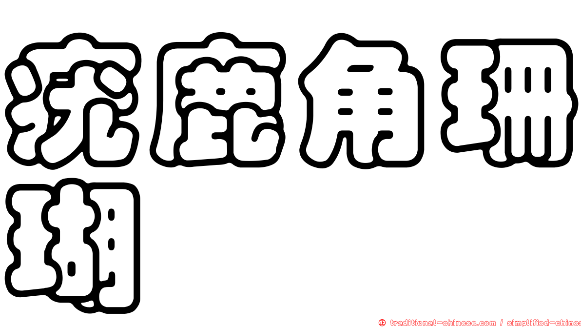 疣鹿角珊瑚