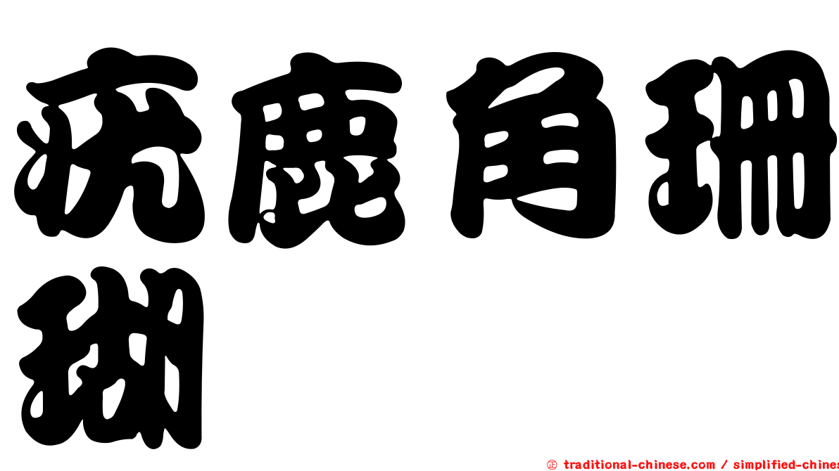 疣鹿角珊瑚