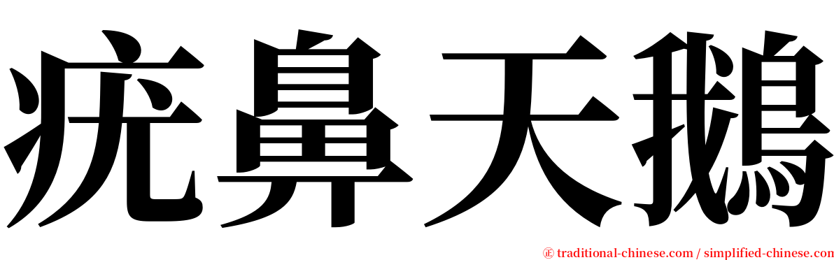 疣鼻天鵝 serif font