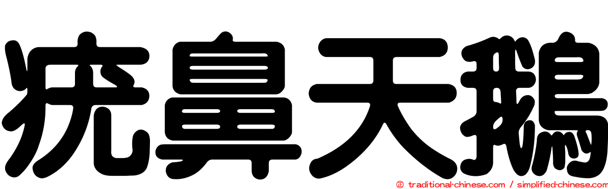 疣鼻天鵝