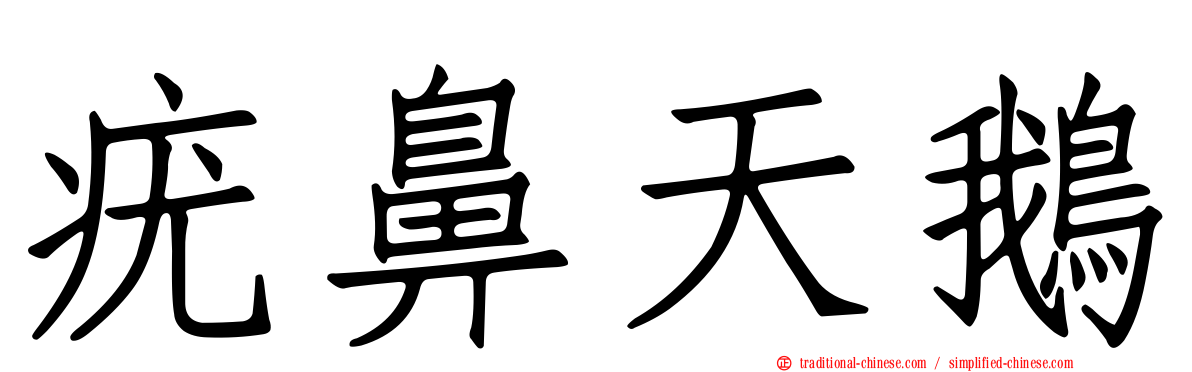疣鼻天鵝