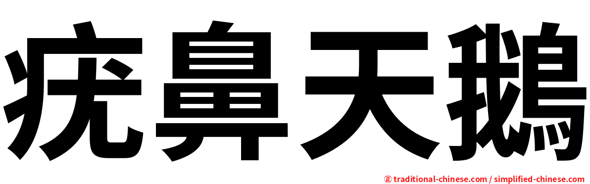 疣鼻天鵝