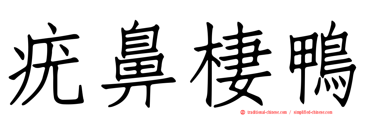 疣鼻棲鴨