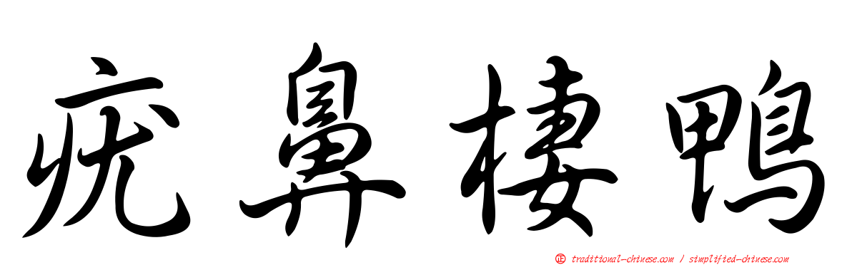 疣鼻棲鴨