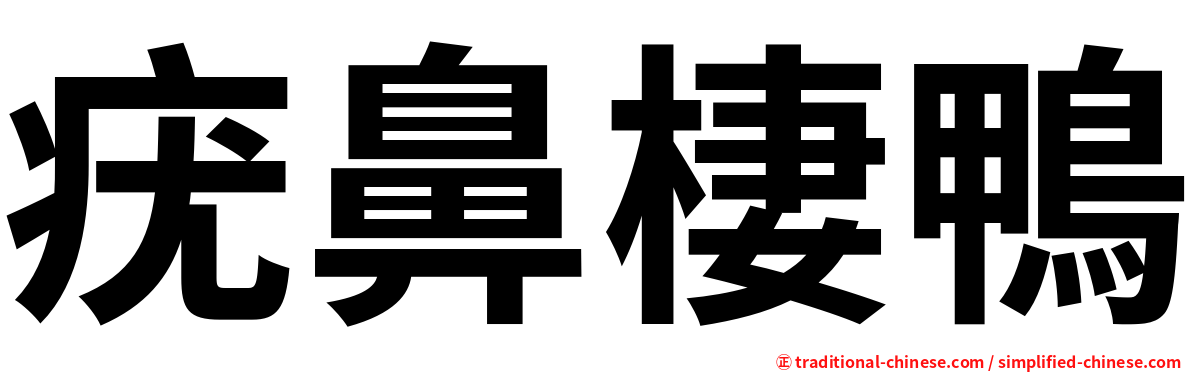 疣鼻棲鴨